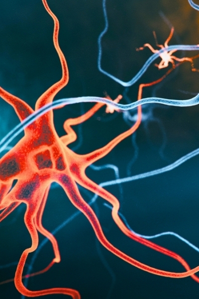 Chiến lược tiếp cận gen mở ra hy vọng phục hồi trí nhớ cho bệnh nhân Alzheimer