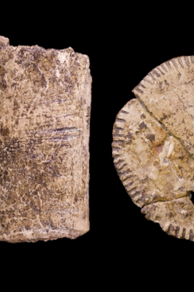 Loài người đã biết “tung xúc xắc” may rủi từ Kỷ Băng Hà?