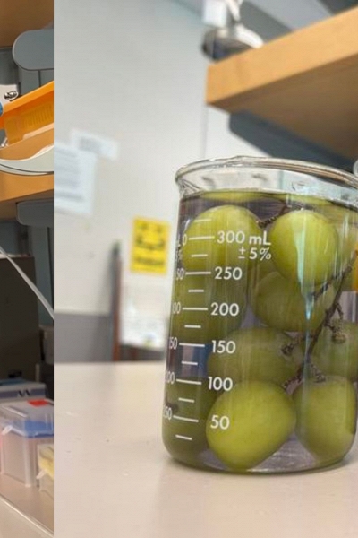 Công nghệ nước rửa sinh học giúp nông sản sạch hóa chất, kéo dài thời gian bảo quản