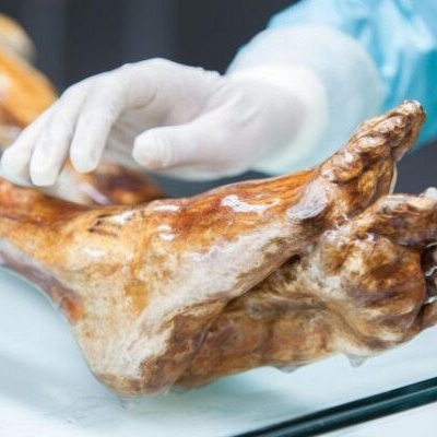 Phát hiện dấu hiệu sự sống trên xác ướp hơn 5.300 năm