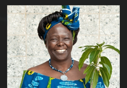 Wangari Maathai người phụ nữ Kenya đã biến hàng triệu cây xanh thành tiếng nói cho công lý