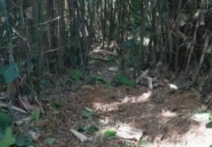 Đang đào giun thấy xẻng chạm phải vật cứng, lão nông dân run rẩy phát hiện kho báu nặng 30kg ngàn năm tuổi còn nguyên vẹn