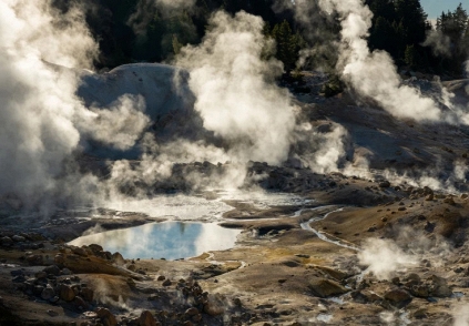 Phát hiện loài sinh vật mới có khả năng chịu nhiệt cao kỷ lục