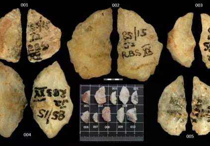 Nam Phi phát hiện mũi tên tẩm độc cổ nhất hành tinh