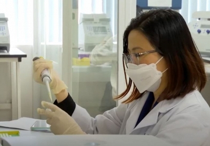 PGS.TS Tô Thị Mai Hương – Nữ nhà khoa học tiên phong trong giải trình tự gen lúa tại Việt Nam