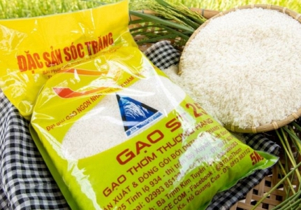 Gạo ST25 đoạt giải gạo ngon nhất thế giới năm 2023