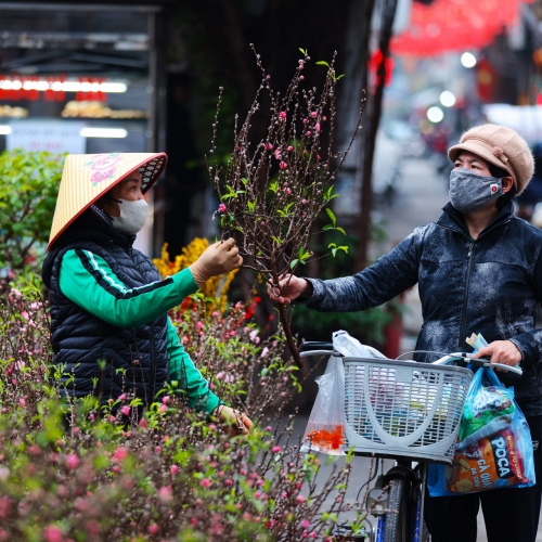 Ngày 23 tháng Chạp: Tiễn ông Công, ông Táo trong nhịp sống hiện đại