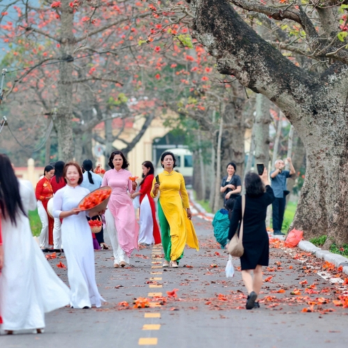 Mùa hoa gạo rực đỏ, làng Đoan Nữ hút khách tìm về ký ức thôn quê