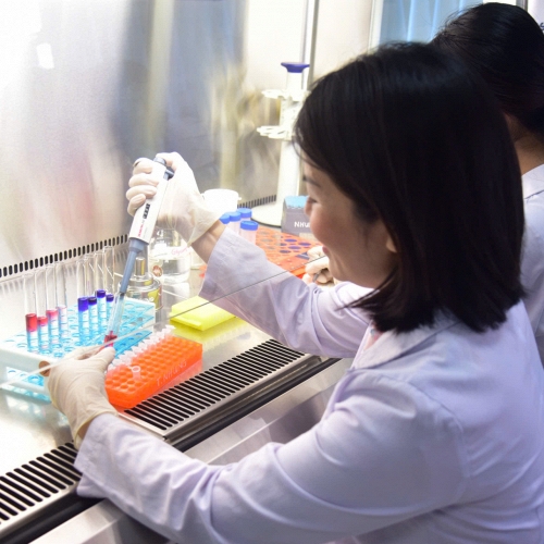 Nữ tiến sĩ theo đuổi lời giải từ vi sinh vật cho bài toán trầm cảm và lo âu