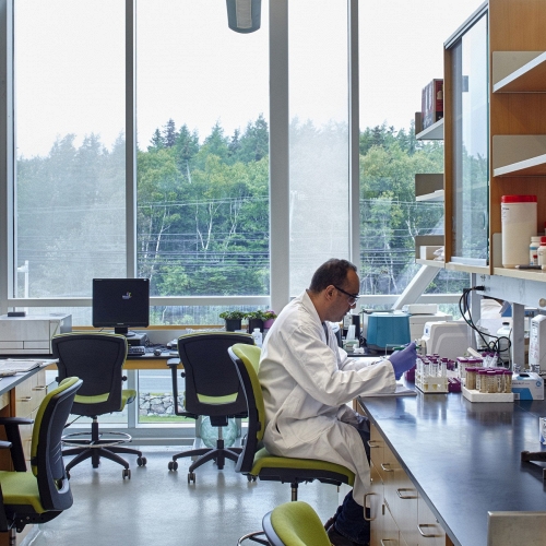 Vì sao Cape Breton University trở thành lựa chọn định cư của sinh viên Việt tại Canada?