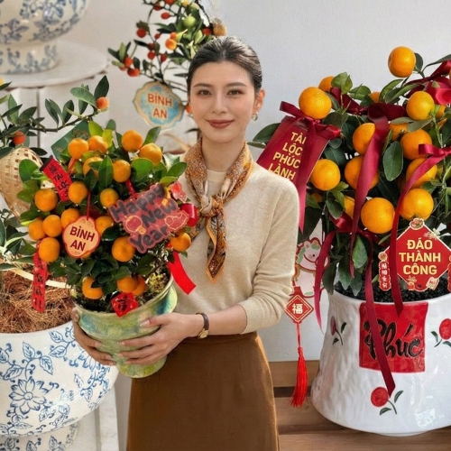 Chưa rinh chậu quất này coi như Tết vơi đi một nửa: Nhỏ thôi nhưng 'gánh' trọn không khí xuân trong nhà