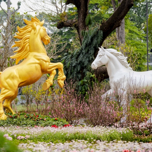 “Khu rừng nhỏ giữa siêu đô thị” - khoảng lặng xanh gìn giữ ký ức của TPHCM