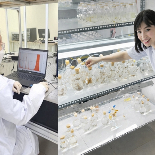 Phụ nữ làm khoa học: Bền bỉ, sáng tạo và gắn với đời sống