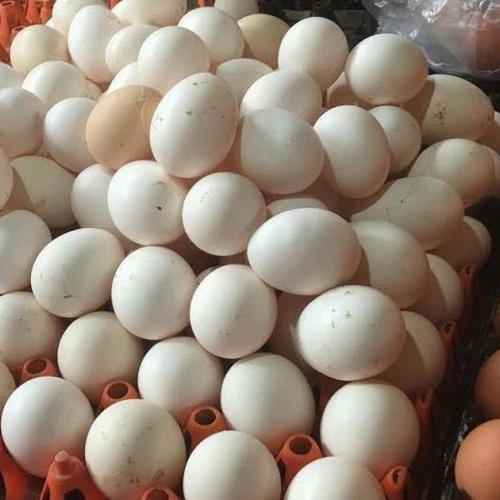 Mua trứng: Nên chọn quả to hay quả nhỏ? Người chăn nuôi tiết lộ đáp án