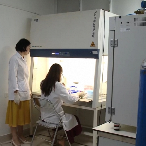 Lần đầu giải mã hệ gen tế bào gốc CD34 trong ung thư hạch: Mở đường cho điều trị trúng đích