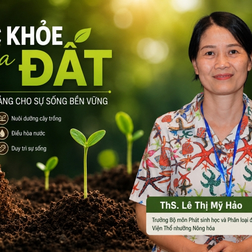 ThS. Lê Thị Mỹ Hảo: 'Muốn nông nghiệp bền vững, phải coi đất là một cơ thể sống'