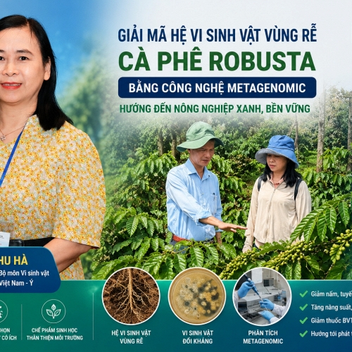 Giải mã “hệ vi sinh vật vùng rễ” cà phê bằng công nghệ Ý: Mở hướng đi mới cho nông nghiệp xanh ở Tây Nguyên