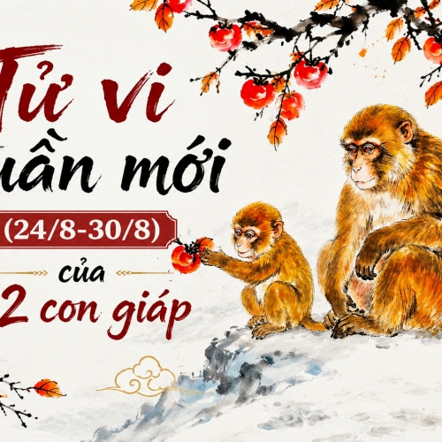 Tử vi tuần mới (24/8 - 30/8): 5 con giáp đón tài lộc khởi sắc, có người ký được hợp đồng lớn, có người thu hồi tiền chờ đã lâu