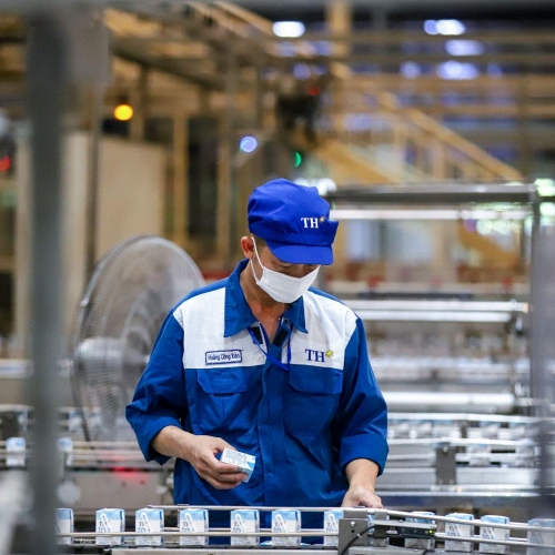 Từ đồng cỏ đến nhà máy: Tập đoàn TH giảm hàng chục nghìn tấn carbon như thế nào?