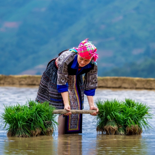 Thu hồi đất nông nghiệp, quyền hỗ trợ tính theo điều gì?