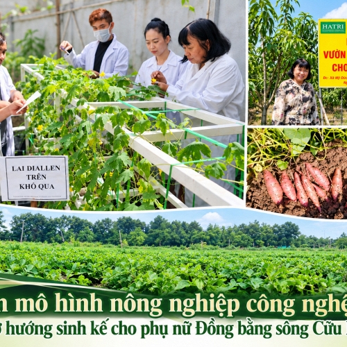 Bốn mô hình nông nghiệp công nghệ cao mở hướng sinh kế cho phụ nữ Đồng bằng sông Cửu Long