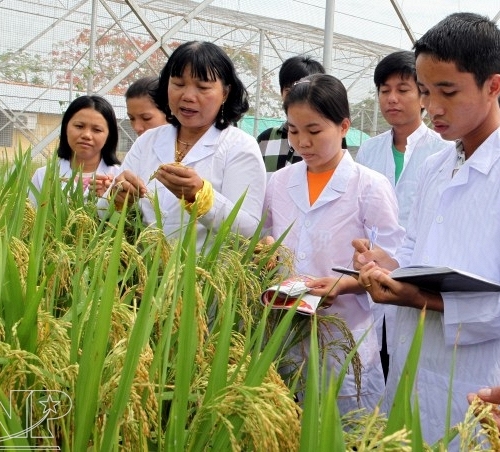 Chính sách khuyến nông mới  kết nối nữ trí thức với phụ nữ nông thôn