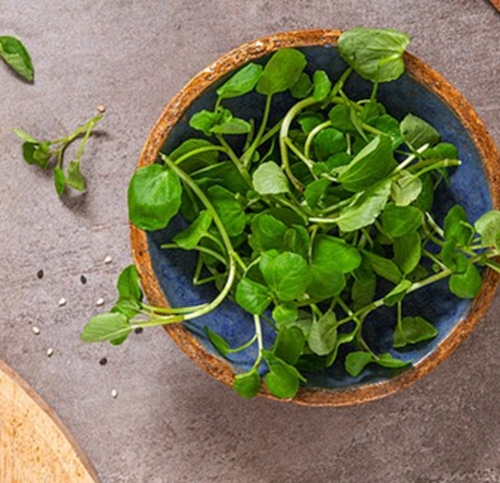 Loại rau 'tốt nhất thế giới', giàu chất chống oxy, giảm cholesterol xấu được chuyên gia dinh dưỡng công nhận