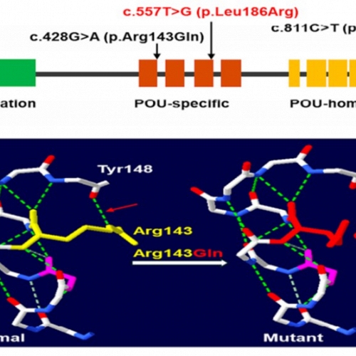 Giải trình tự gen thế hệ mới: Mở đường cho chẩn đoán bệnh hiếm ở người Việt