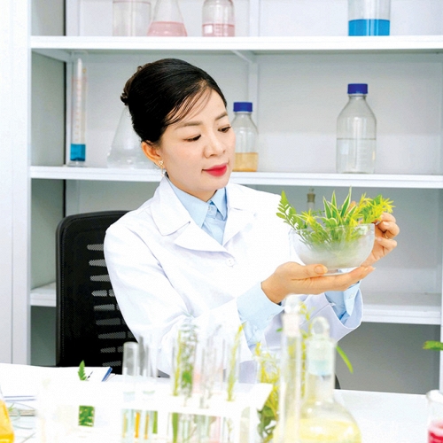 Nhật ký của một người làm khoa học bận rộn