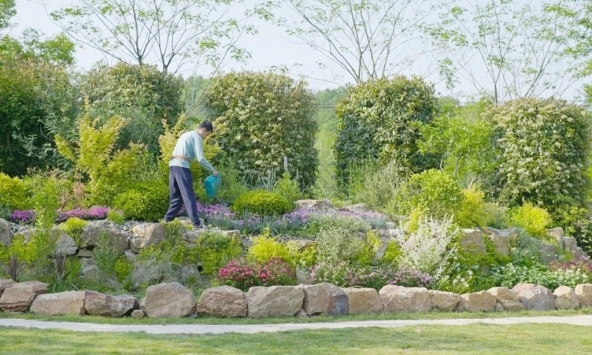 Nghỉ hưu ở tuổi 57, giám đốc mang 5 tỷ đồng về quê dưỡng già, 58 tuổi lại tìm đường ra thành phố: “Tôi không thể chịu nổi”