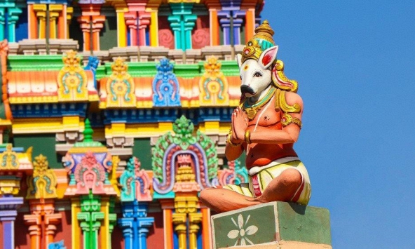 Ấn Độ sẽ vượt Trung Quốc, trở thành quốc gia có nền kinh tế phát triển nhanh nhất thế giới vào năm 2021