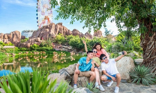 Khám phá 'mùa hoa Hà Lan' sớm nhất thế giới tại đảo nhiệt đới Hòn Tre