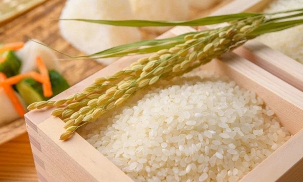 Việt Nam có đơn hàng xuất khẩu 1.600 tấn gạo đầu năm 2021