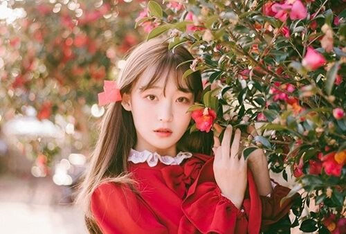 Tử vi hàng ngày 27/1/2021 của 12 con giáp chi tiết nhất