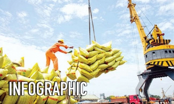 Điểm sáng kinh tế Việt Nam: 5 năm liên tiếp xuất siêu