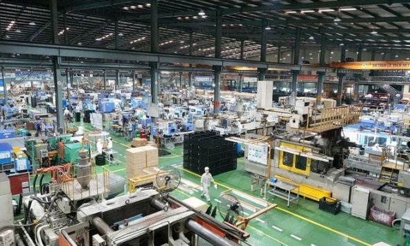 Cổ phiếu khuyến nghị ngày 28/1: VNP, CII, BWE, PNJ, NTL