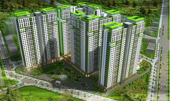 Năm Bảy Bảy (NBB) bị truy thu thuế hơn 44 tỷ đồng