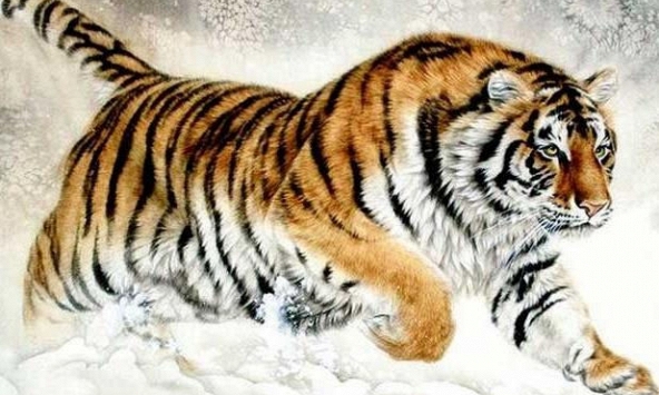 Ngày khai trương Tân Sửu 2021 cho người tuổi Bính Dần 1986