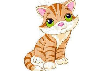 Tuổi Đinh Mão 1987, xuất hành Tết 2021 vào giờ nào, hướng nào tốt nhất?