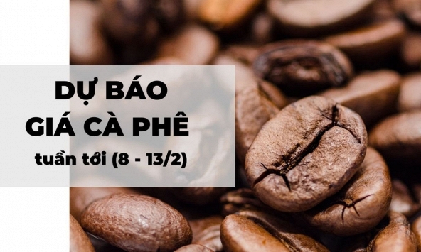 Dự báo giá cà phê tuần tới (8 - 13/2): Giá Robusta hạt tăng do thiếu nguồn cung