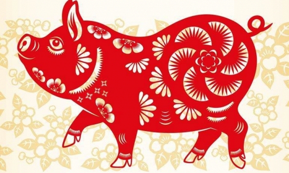 Hướng nào xuất hành tốt nhất năm 2021 cho tuổi Kỷ Hợi 1959?  