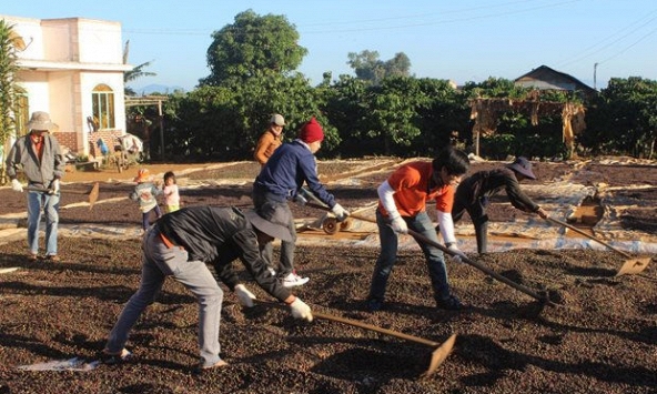 Xuất khẩu hạt tiêu giảm mạnh trong tháng đầu năm 2021