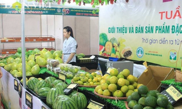 Siêu thị giảm giá mạnh nhiều mặt hàng tại tâm dịch Hải Dương
