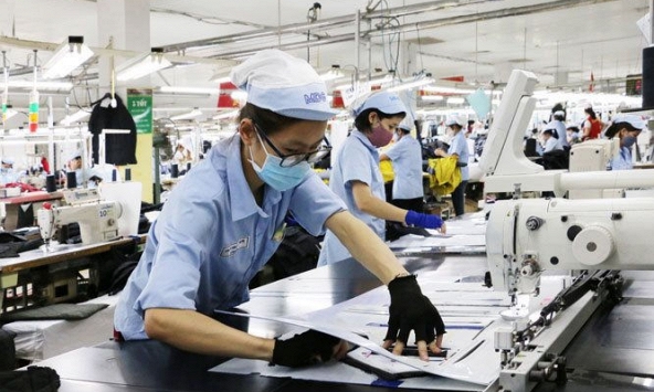 Người lao động được trả lương thế nào trong trường hợp ngừng việc?