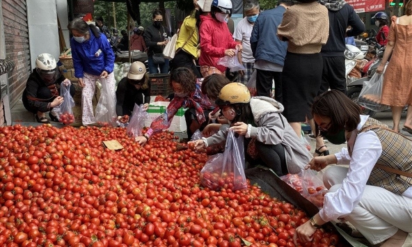 Bộ Công Thương kêu gọi giải cứu nông sản Hải Dương