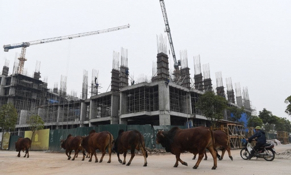 Thị trường bất động sản đã vượt qua giai đoạn khó khăn nhất của đại dịch COVID-19