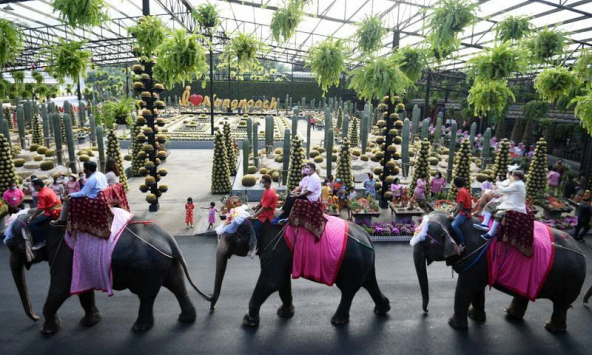 Đám cưới tập thể trên lưng voi ở Thái Lan nhân lễ Tình nhân