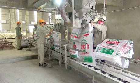 Cổ phiếu khuyến nghị ngày 24/2: DGC, HSG, PVB, PVB, MBS, LPB, NT2