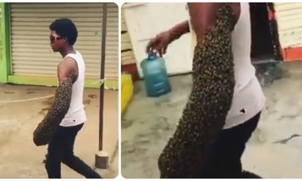 Rùng mình cảnh 'dị nhân' dạo phố với hàng nghìn con ong bám khắp cánh tay