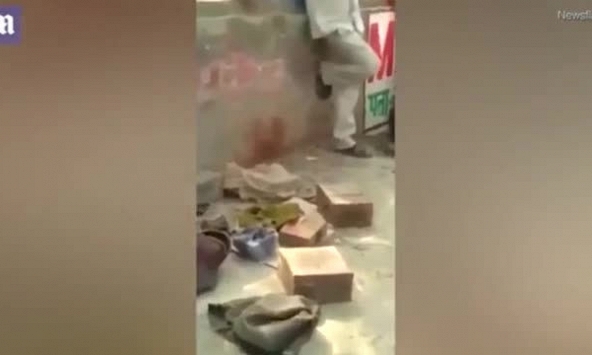 Sinh nghề tử nghiệp, bị trăn siết cổ chủ trong lúc biểu diễn